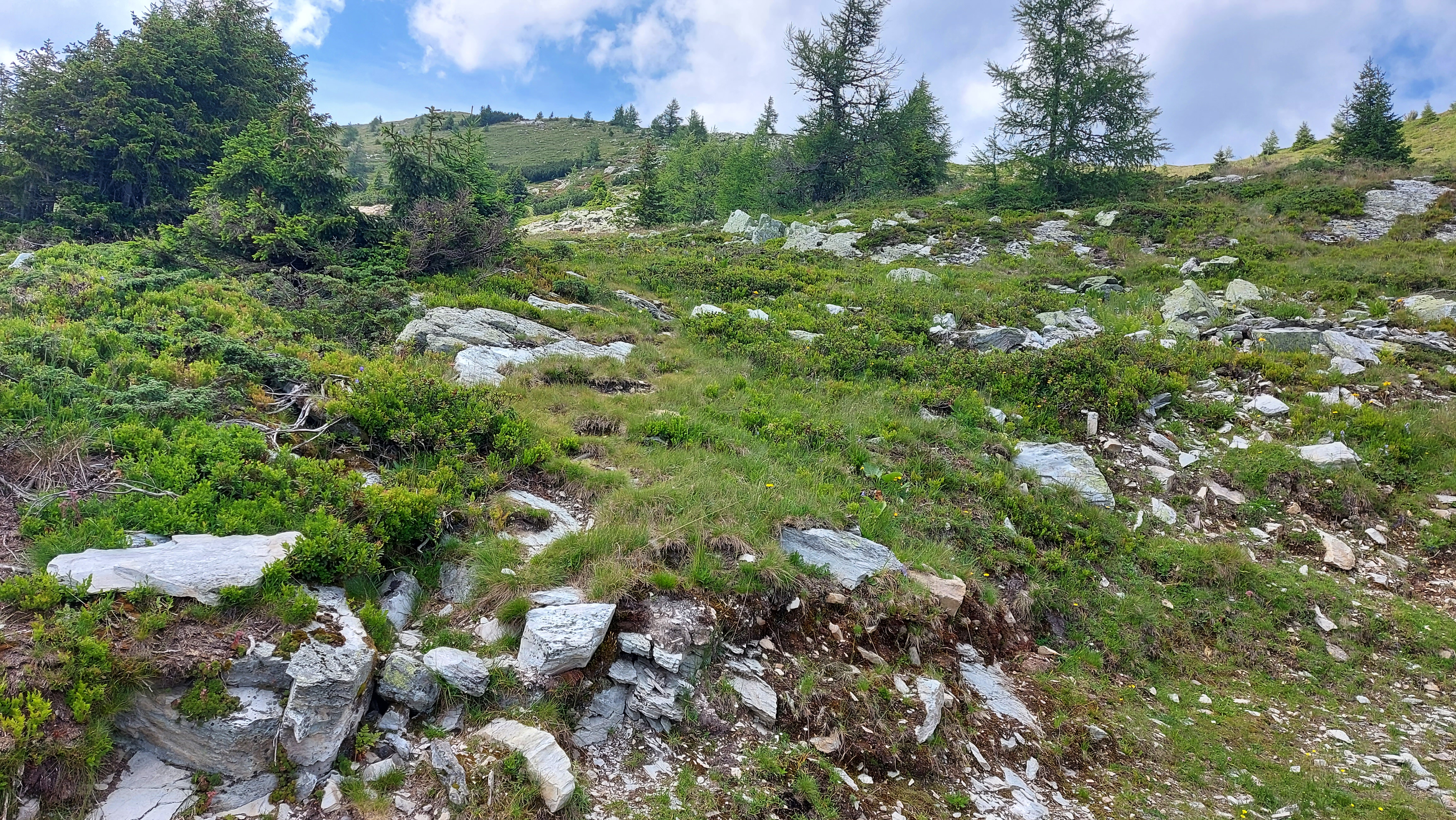 Highlight 11 along the Bikemap route "Mauterndorf Cycling"