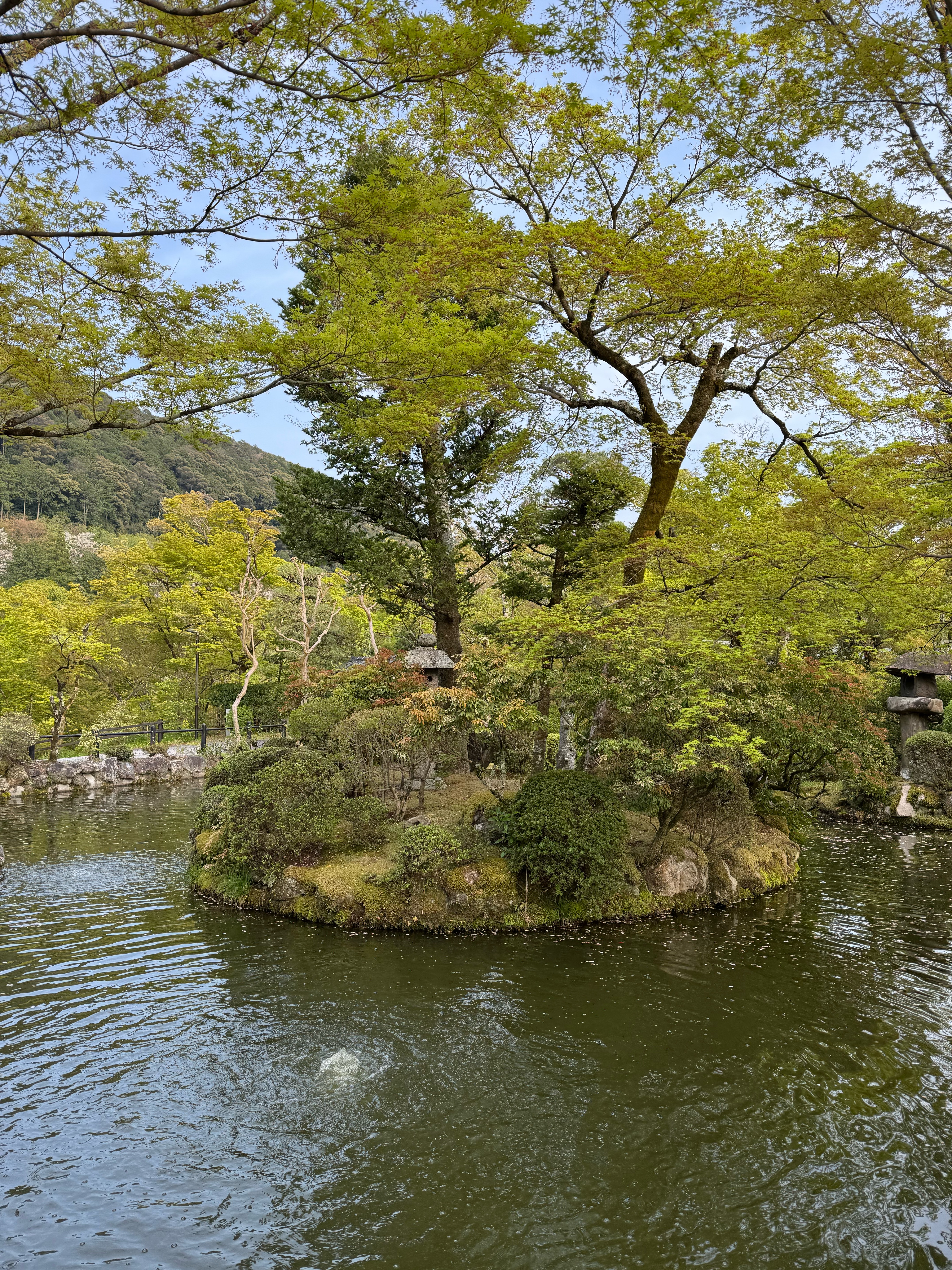 Return from Kyiomitzu-dera to bike rental