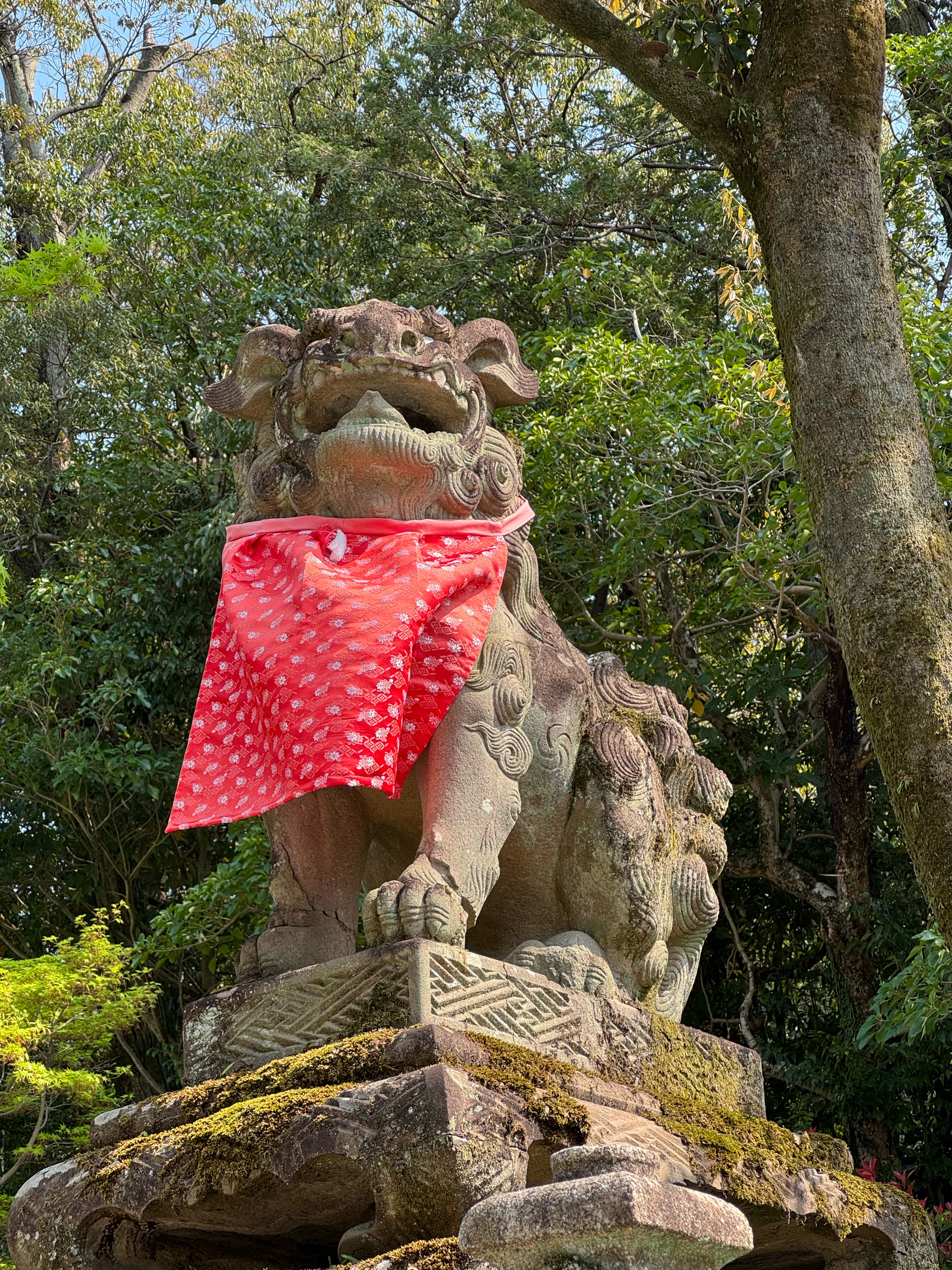 From bike rental to Fushimi Inari Taisha