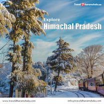 Route to Rakkar, Palampur Tehsil 176101, Himachal Pradesh