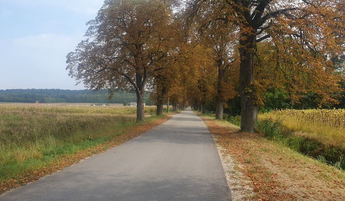 dc-stockerau-seebarn-dc