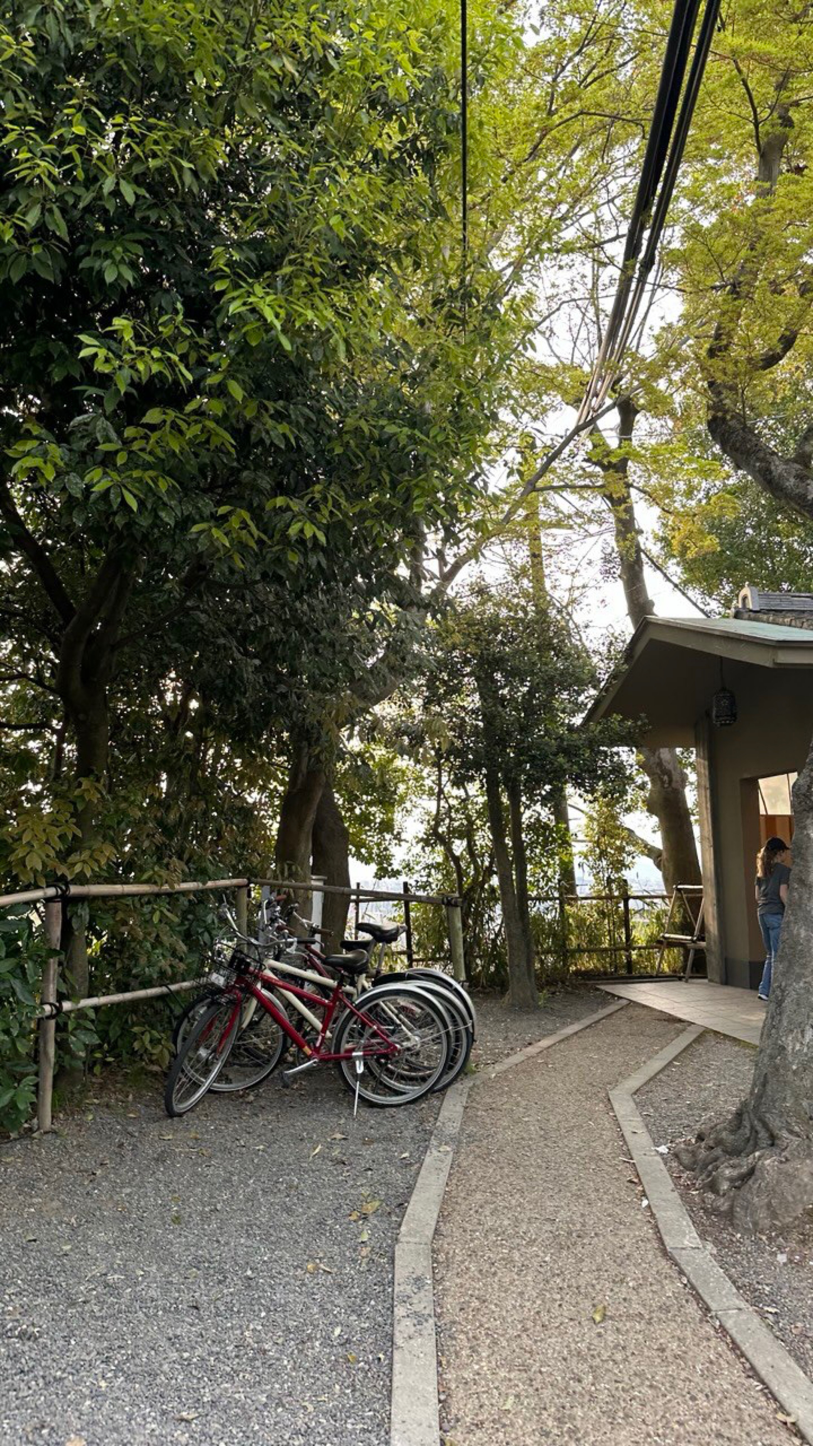 Return from Kyiomitzu-dera to bike rental