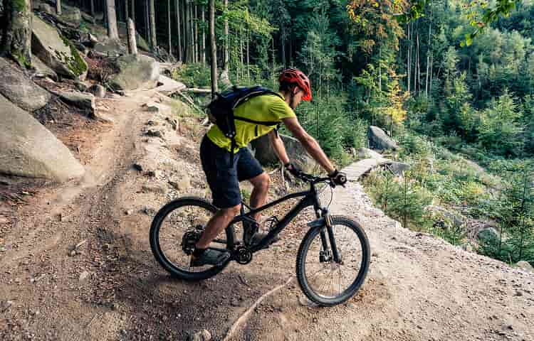 Cyclist on a mountain bike trail