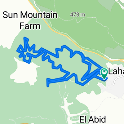 Lahav להב ג'ו אלון