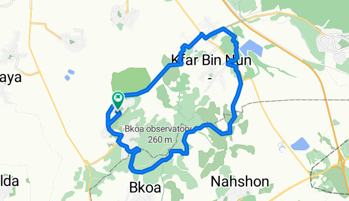 Forest to Mishmar Ayalon